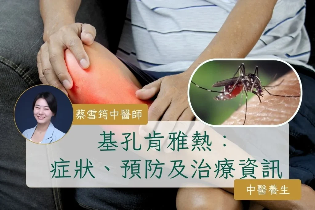 基孔肯雅熱：症狀、預防及治療全攻略