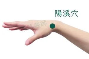 香港中醫治療喉嚨痛常用穴位圖 陽溪穴